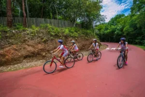 ciclovía ixtapa Pacific Tours