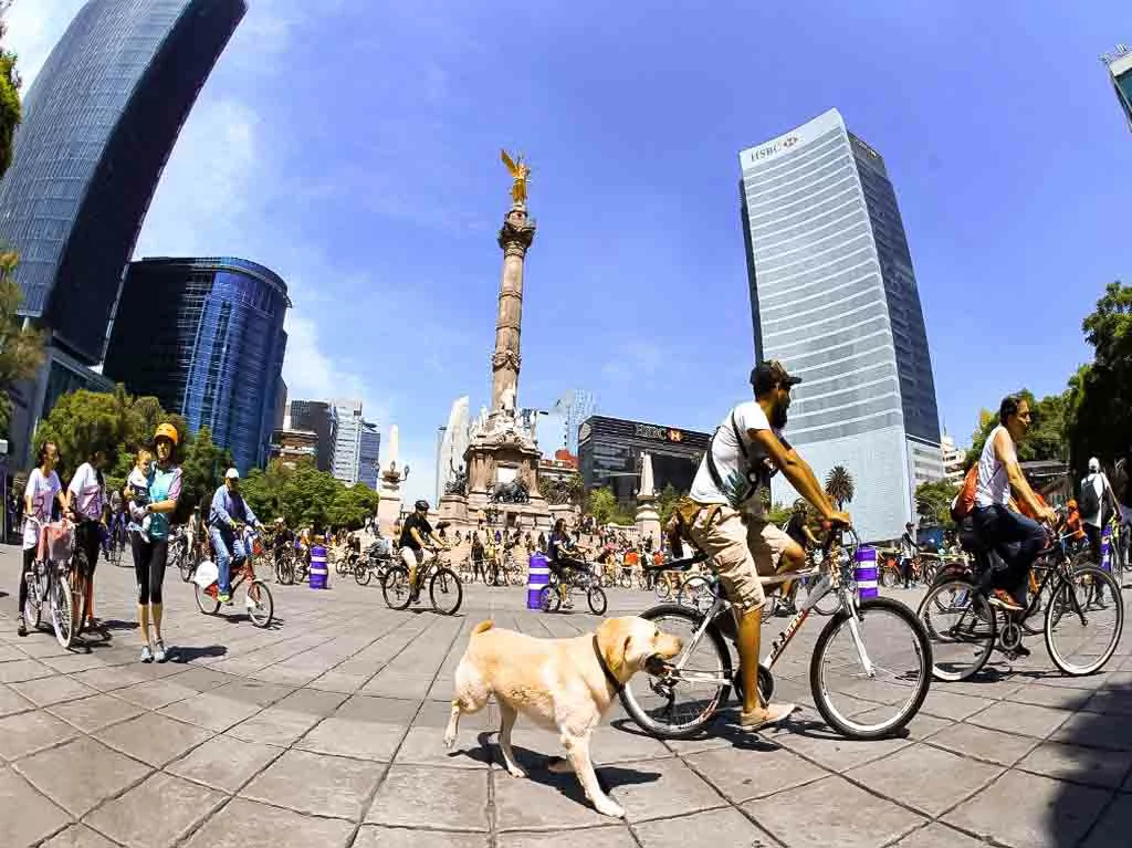 viajes en bicicleta 2