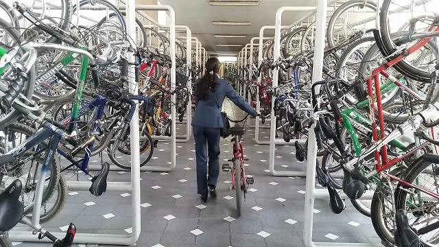 Transmibici Alcaldía de Bogotá 2