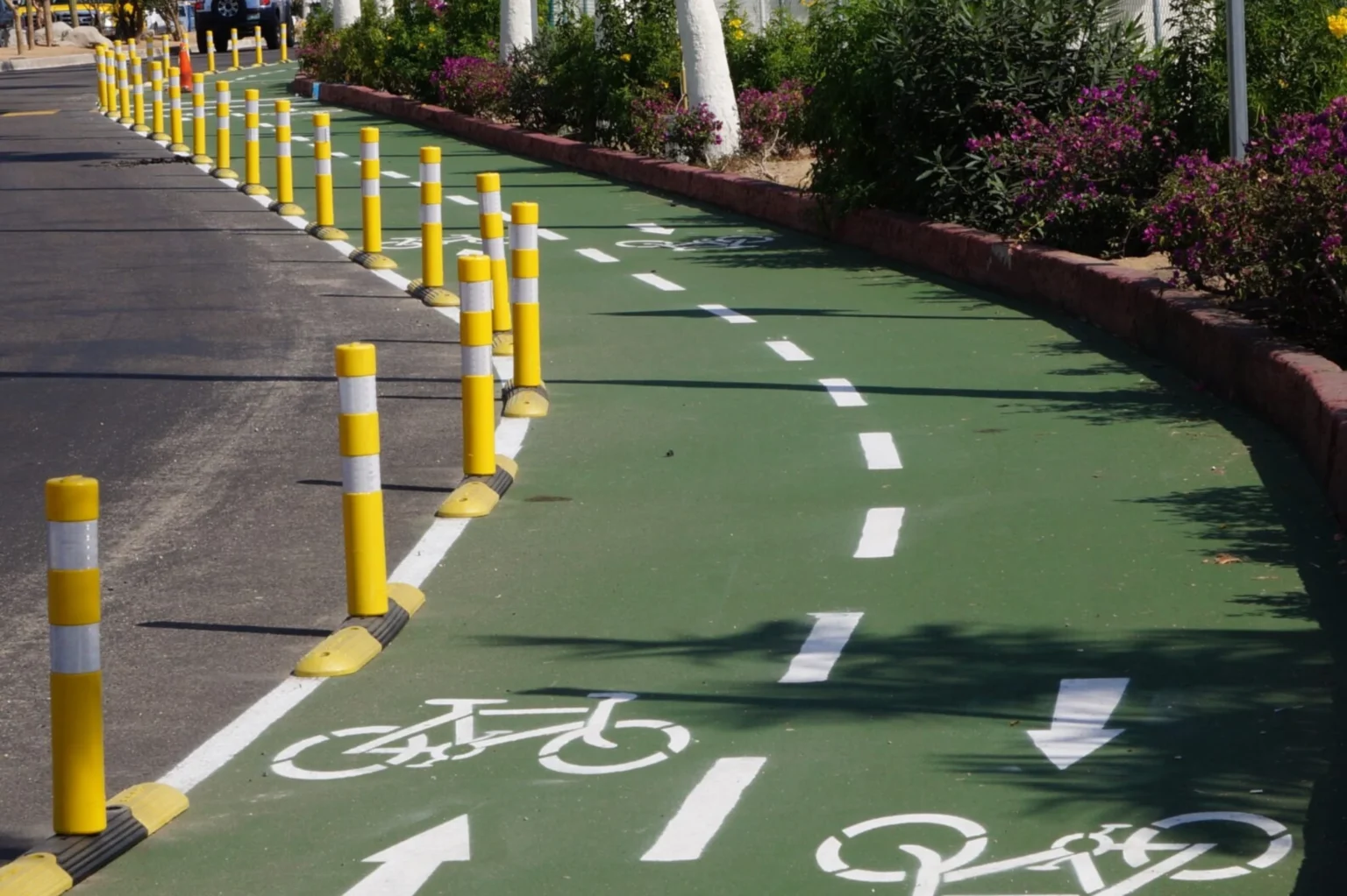 Ciclovía San José del Cabo mapa Ciclovía ruta Camino Viejo a San José ¿Dónde empieza la ciclovía de San José del Cabo? Ciclovía San José del Cabo avances Obras Camino Viejo a San José ciclovía Fecha de inauguración ciclovía Los Cabos Proyecto ciclovía San José del Cabo IMPLAN Red de Ciclovías Los Cabos ¿Se puede rodar en la ciclovía de San José del Cabo?