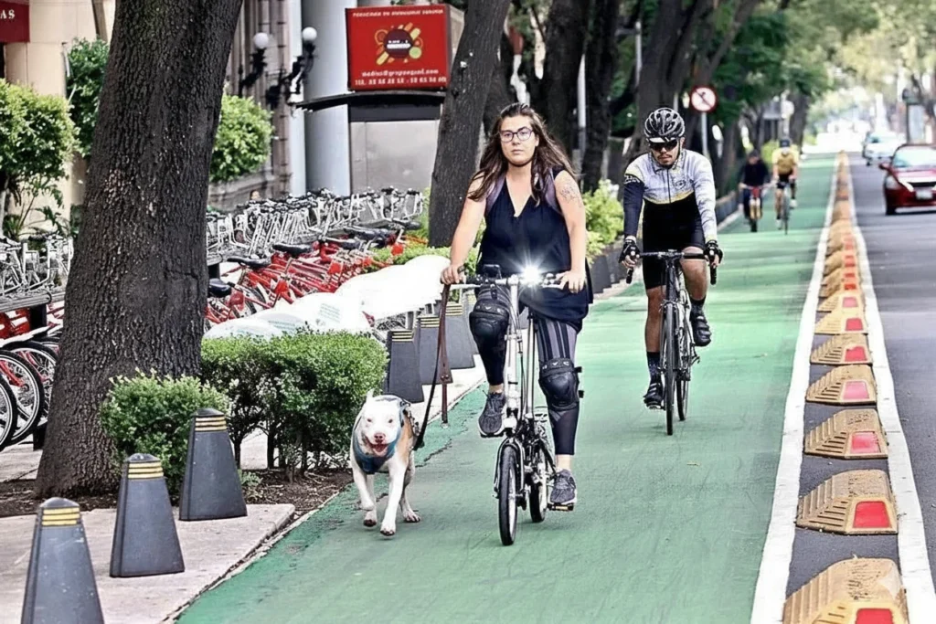 ersona circulando en bicicleta con su perro sobre la Ciclovía Reforma, compartiendo el corredor con otros usuarios en un tramo con canalizadores visibles.